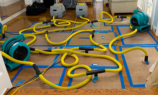 Professional Crawl Space Water Removal technician working in Stockton, NJ